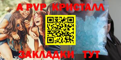 шишки Аргун