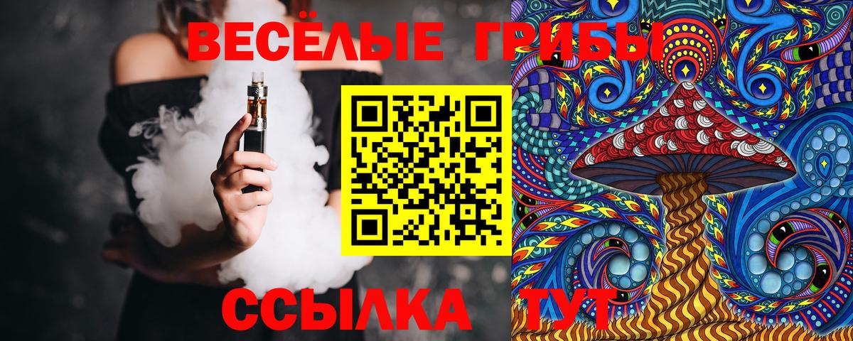 Псилоцибиновые грибы Cubensis Сибай