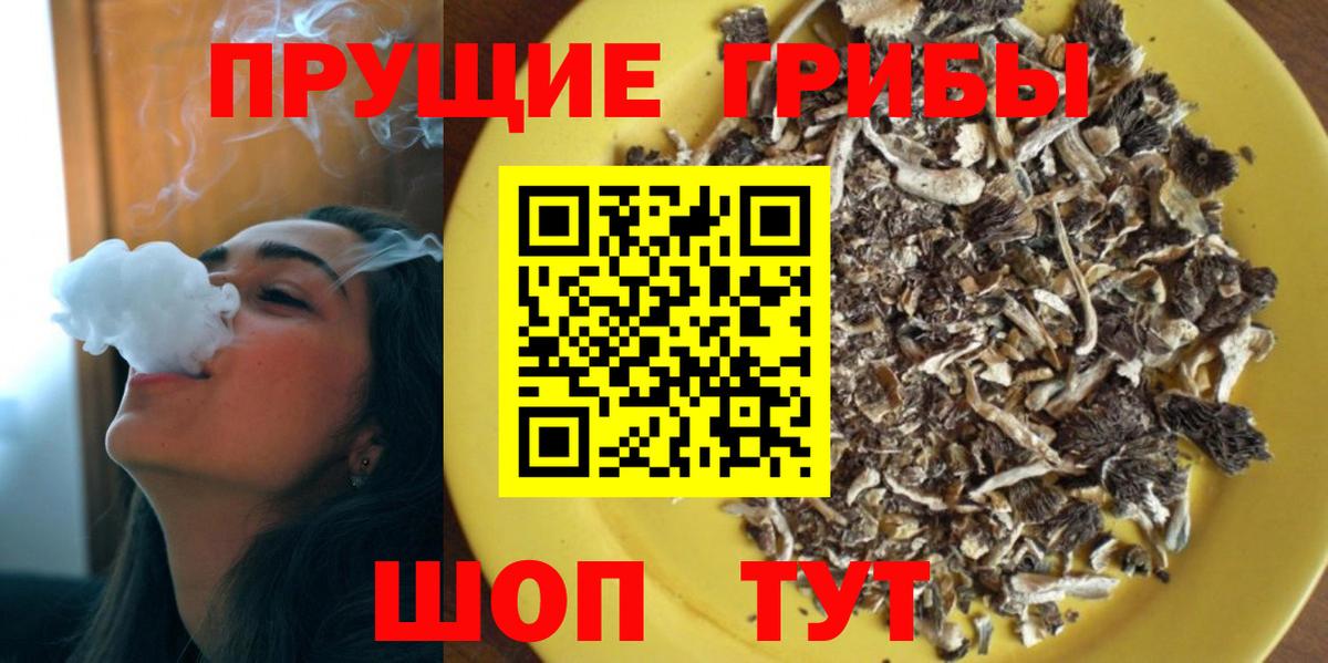 Псилоцибиновые грибы ЛСД  Псилоцибиновые грибы ЛСД  Сибай 