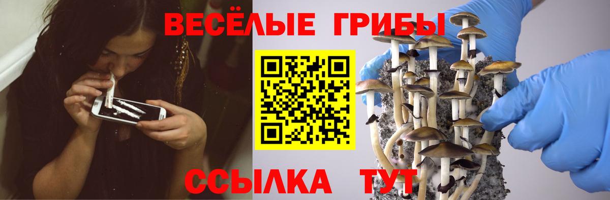 Сибай  Галлюциногенные грибы ЛСД  Вход с VPN 
